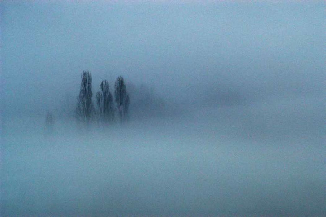 Nom de l'image : EG-300-1464-01_(c)Norbert-JUNG — Description :